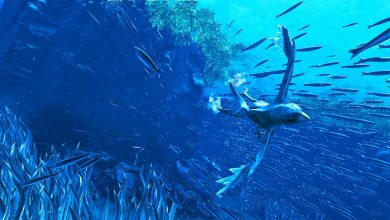 Фото - Динамичный подводный экшен Glaciered расскажет о Земле далёкого будущего